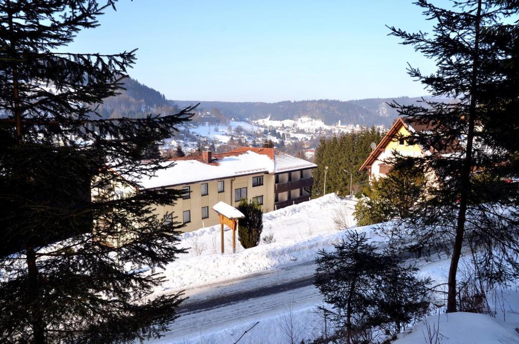 Hotel Pension Waldbaude Warmensteinach Buitenkant foto