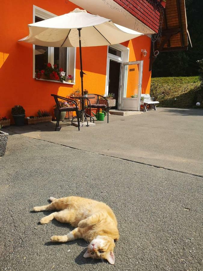 Hotel Pension Waldbaude Warmensteinach Buitenkant foto
